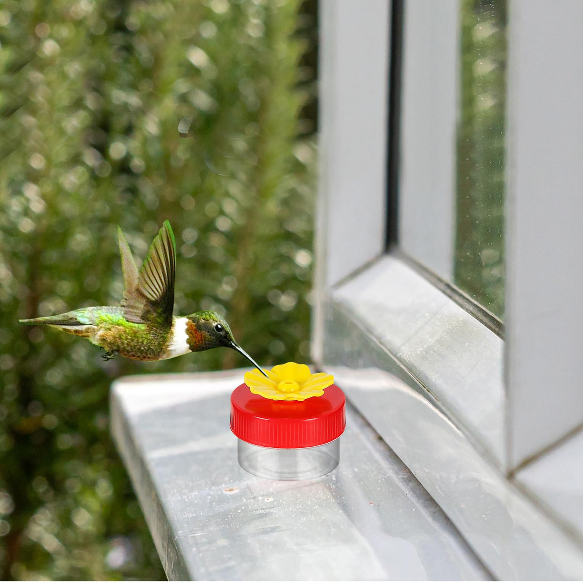 A AUGHOA mini feeder is compact for backpack and pocket portability.