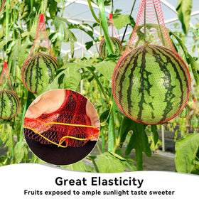 AUGHOA Multi-functional storage for fruits, nuts, and seafood during transport.
