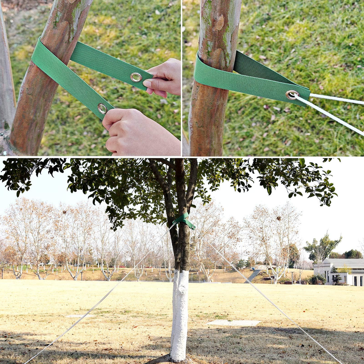 AUGHOA weatherproof tree strap set protects trees during storms with simple installation.