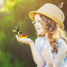 A AUGHOA window feeder enables close-up hummingbird viewing from home.