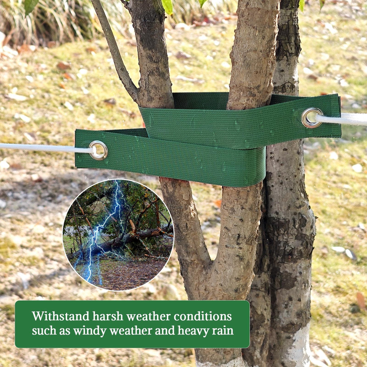 AUGHOA young-tree growth-support strap helps straight, healthy development.