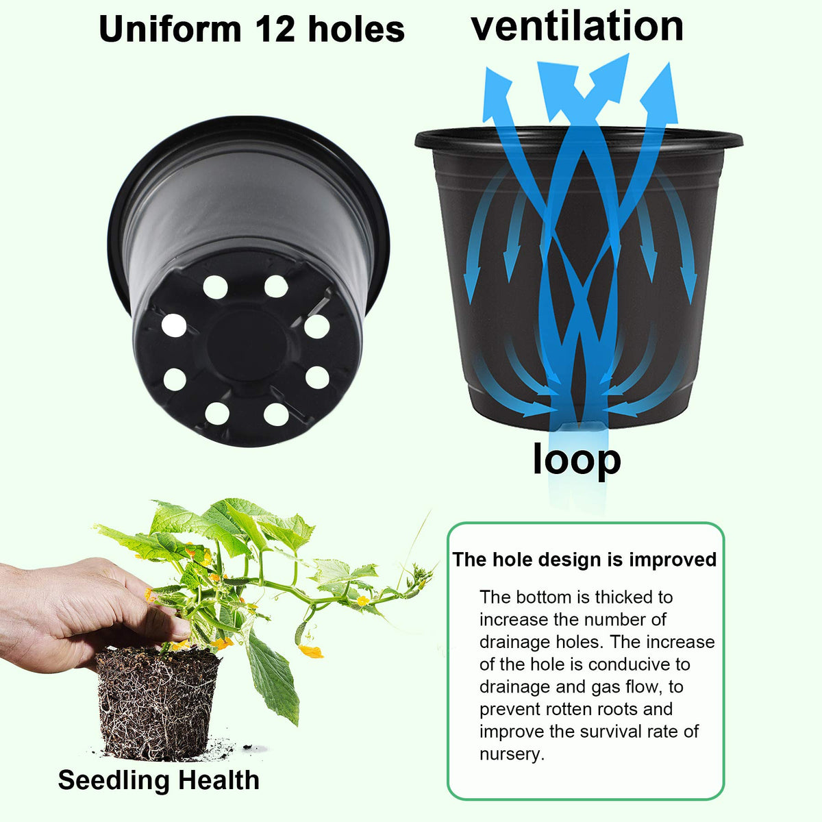 Augshy pot with 12 drainage holes promoting healthy roots