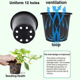 Augshy pot with 12 drainage holes promoting healthy roots