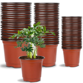 Augshy 4-inch plastic nursery pot for seed starting and transplanting.