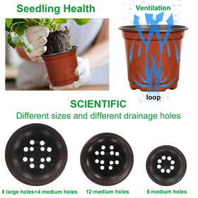 Augshy nursery pot showing drainage holes for healthy root airflow.