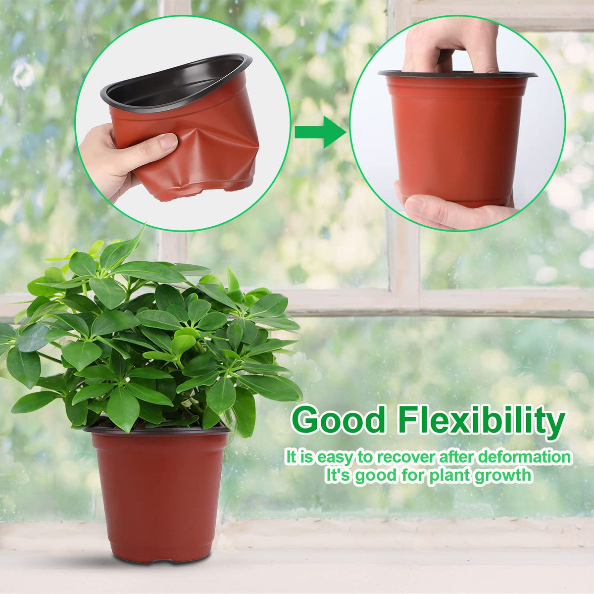 Augshy pot with red brick exterior blocks UV exposure for longevity.