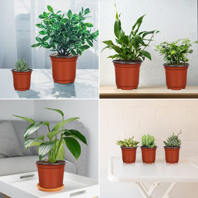Augshy stackable nursery pots save space in small gardens.