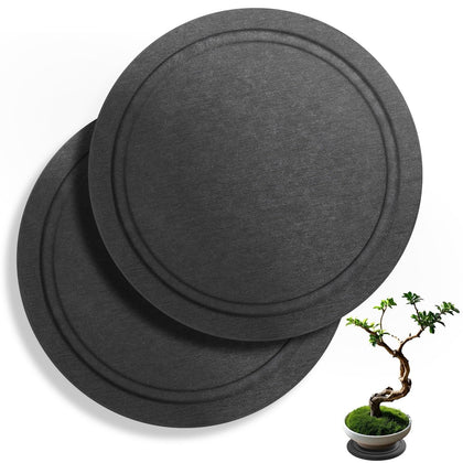 Augshy 8-inch diatomaceous earth saucer top view for indoor plant pots