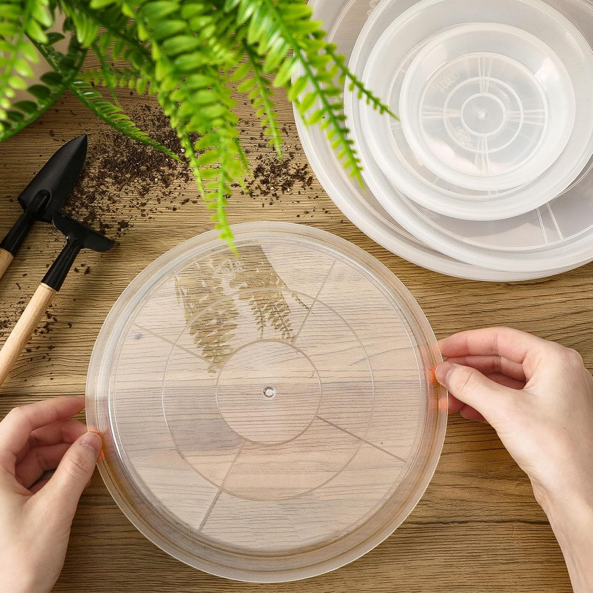 Augshy 4-inch clear plant saucer offers durable, water-repellent support for small pots.