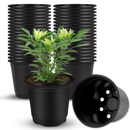 Augshy 40-pack seed starting pots, 4-inch size, ideal for succulents.