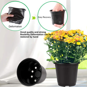 Compact 6-inch pot dimensions suitable for herbs and seedlings