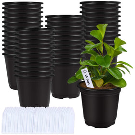 Augshy 6-inch black plastic seed starting pots set for easy gardening