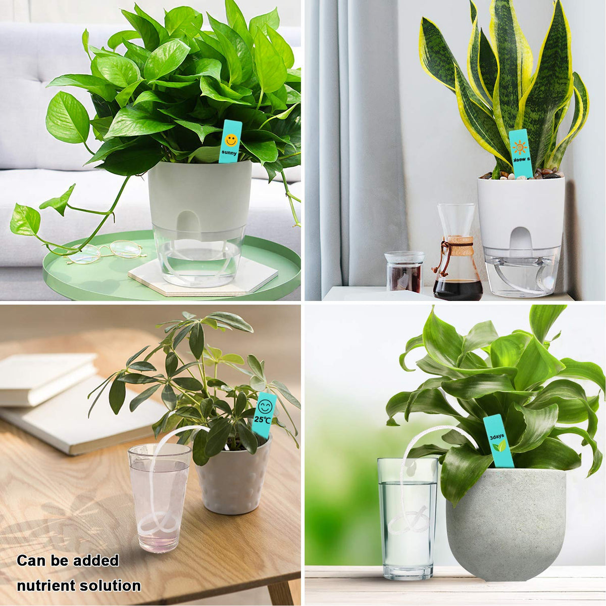 Augshy adjustable wick length lets you tailor setup for any planter.