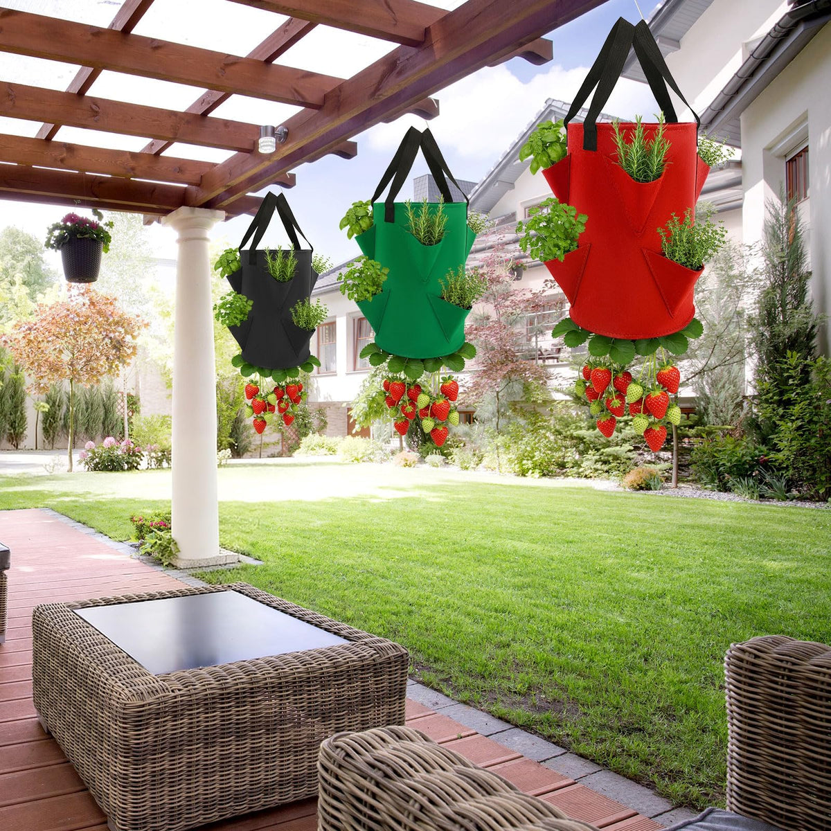 Augshy compact urban garden solution for patios and indoor spaces.