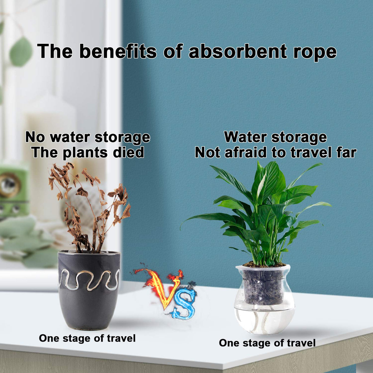 Augshy cotton rope wick offers strong water absorption for reliable moisture delivery.