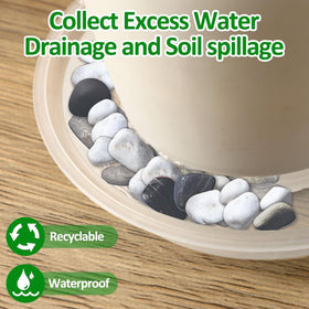 Augshy decorative trays allow adding stones or decor to enhance displays.