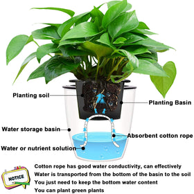 Augshy DIY garden watering solution simplifies irrigation for hard-to-reach roots.