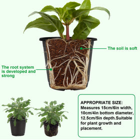 Durable, reusable Augshy seed starting pots for multiple seasons