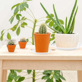 Augshy durable trays stay sturdy under outdoor use and varied conditions.