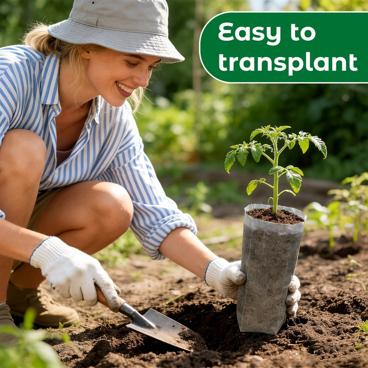 Augshy easy care grow bags simplify starting and managing crops