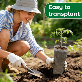 Augshy easy care grow bags simplify starting and managing crops