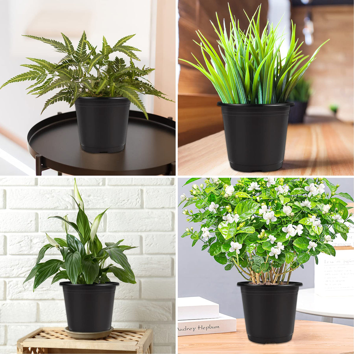 Augshy seed starting pots support transplanting with stable structure.