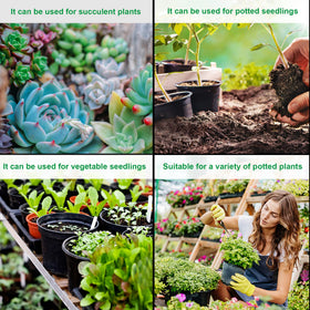 Augshy seed starting pots suitable for home gardens and greening projects.