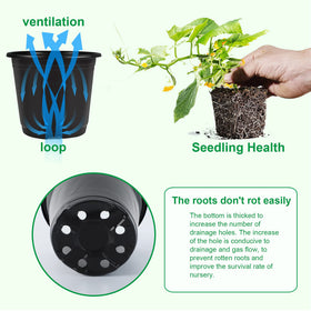 Augshy pots feature improved drainage holes and a thickened bottom.