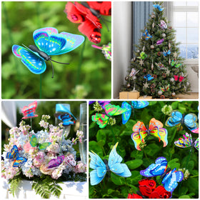 Augshy versatile decor for parties indoors and outdoors