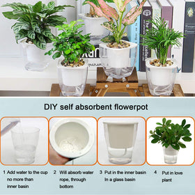 Augshy irrigation wick enables precise root watering without overwatering.