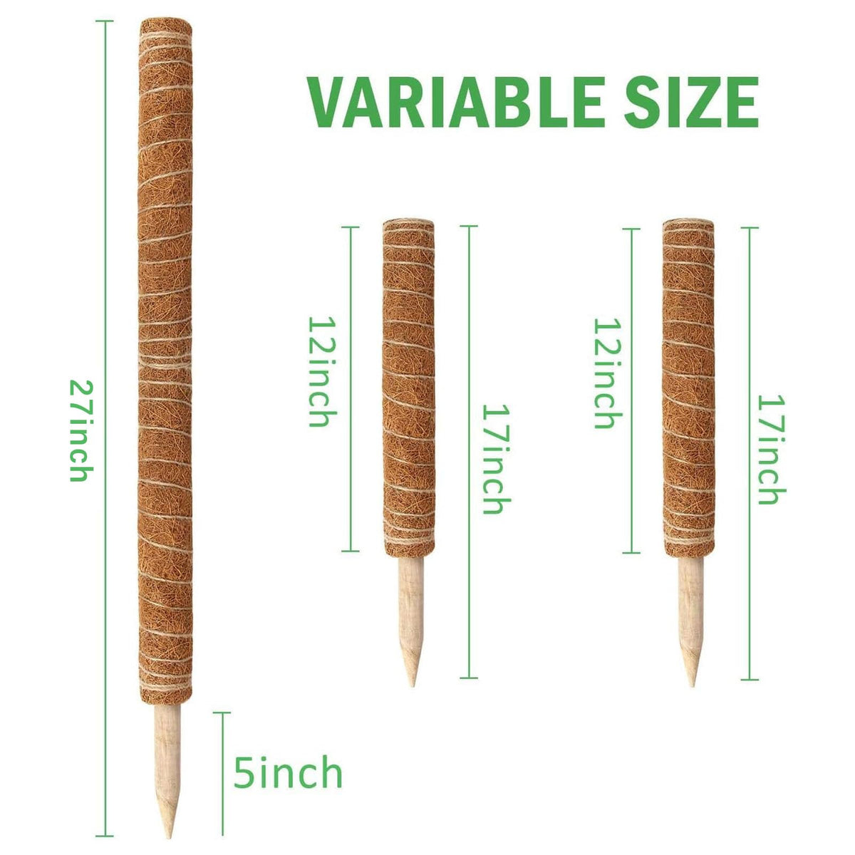 Augshy 17 inch stake ready for indoor vine climbing use
