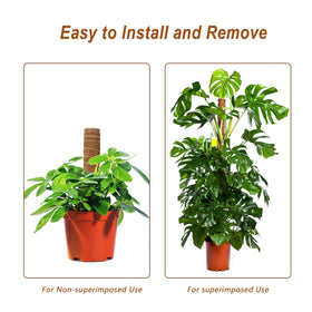 Augshy 2-pack includes plant tags and ties to guide growth