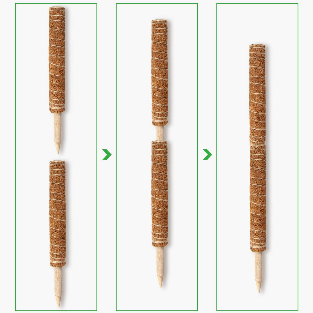 Augshy moss pole made from natural coconut fiber supports moisture and growth