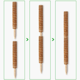 Augshy moss pole made from natural coconut fiber supports moisture and growth