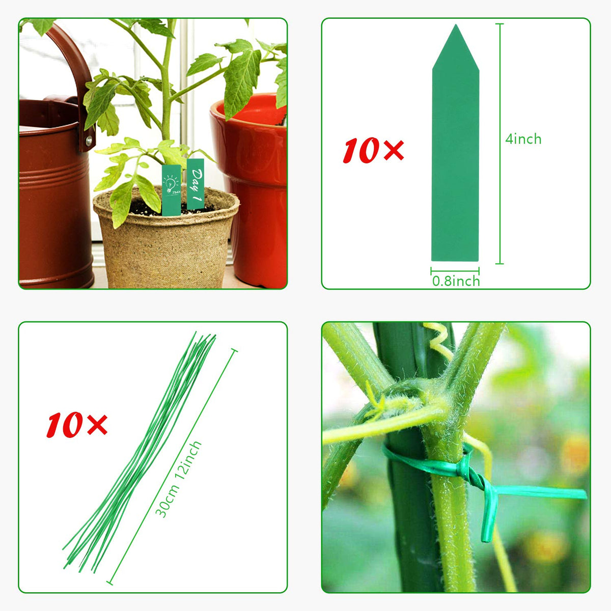 Augshy pole tip is sharp for easy soil insertion and stability
