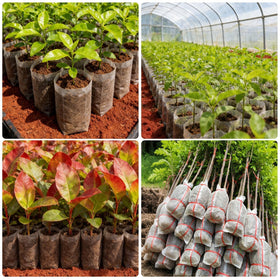 Augshy multi stage gardening bags from seed to mature plants