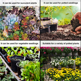 Versatile Augshy pots for succulents, cuttings, and small vegetables