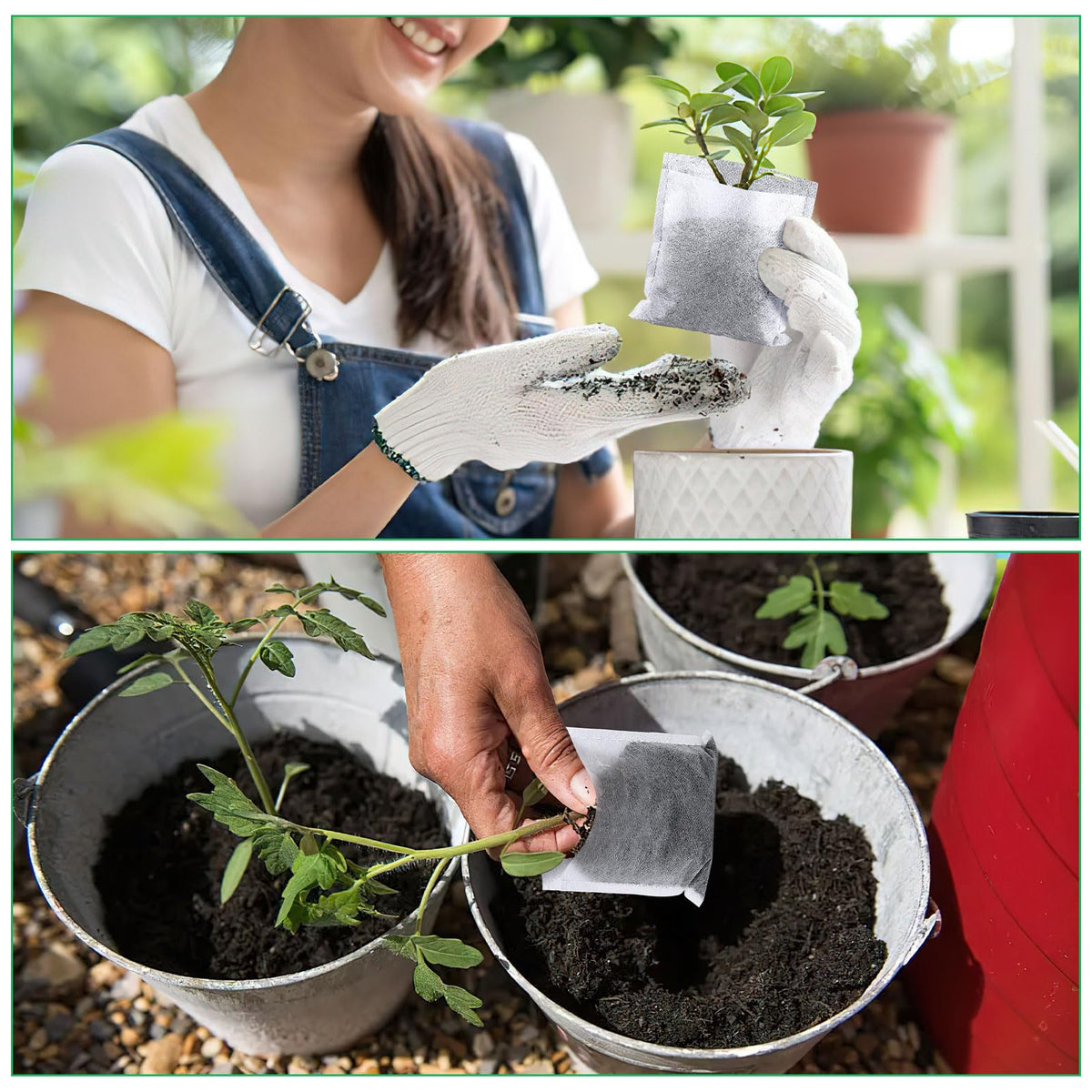 Augshy 200-pack provides ample quantity for nurseries and home gardens.