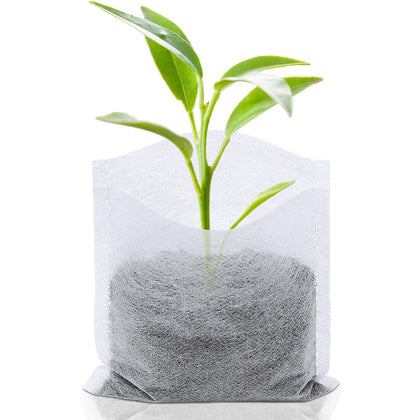 Augshy nursery bags with a 4.2-inch opening promote robust root growth and easy handling.