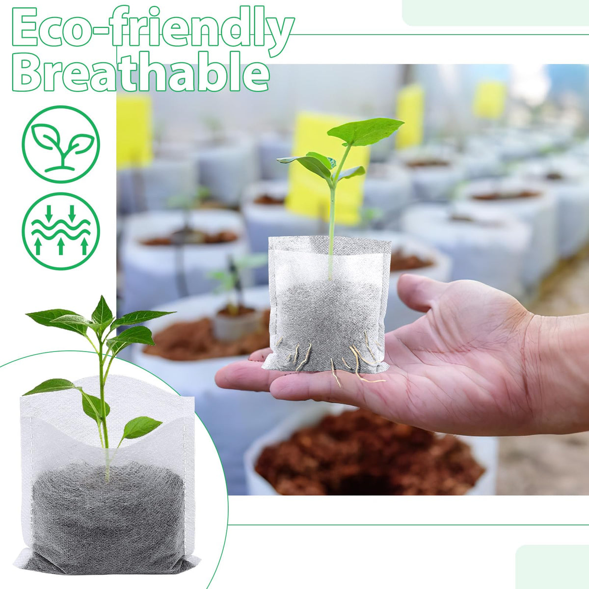 Augshy nursery bags help maintain humidity for healthy seedling establishment.