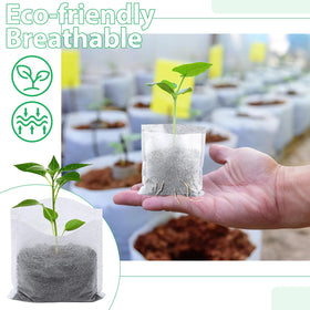Augshy nursery bags help maintain humidity for healthy seedling establishment.