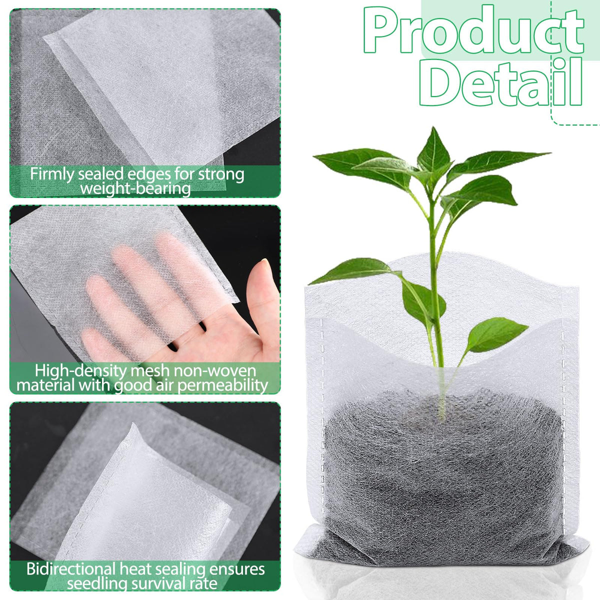 Augshy bags encourage root penetration for vigorous growth without rot.