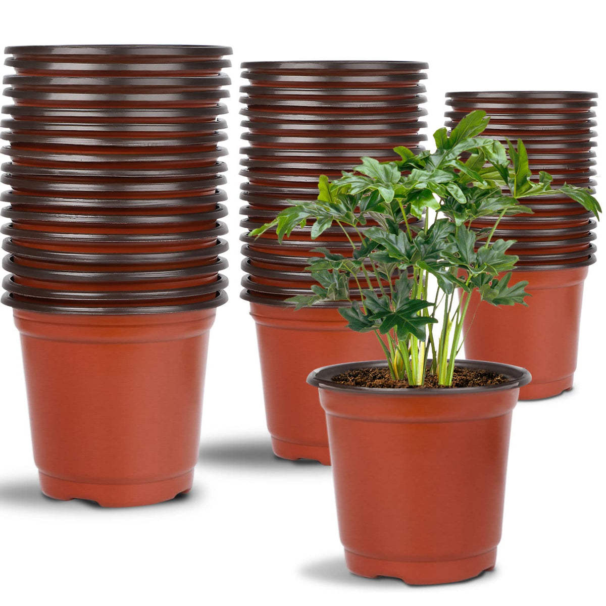Augshy nursery pot 4-inch top view for seed starting and easy handling.