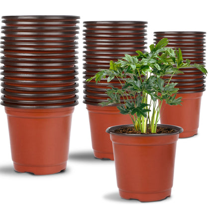 Augshy nursery pot 4-inch top view for seed starting and easy handling.