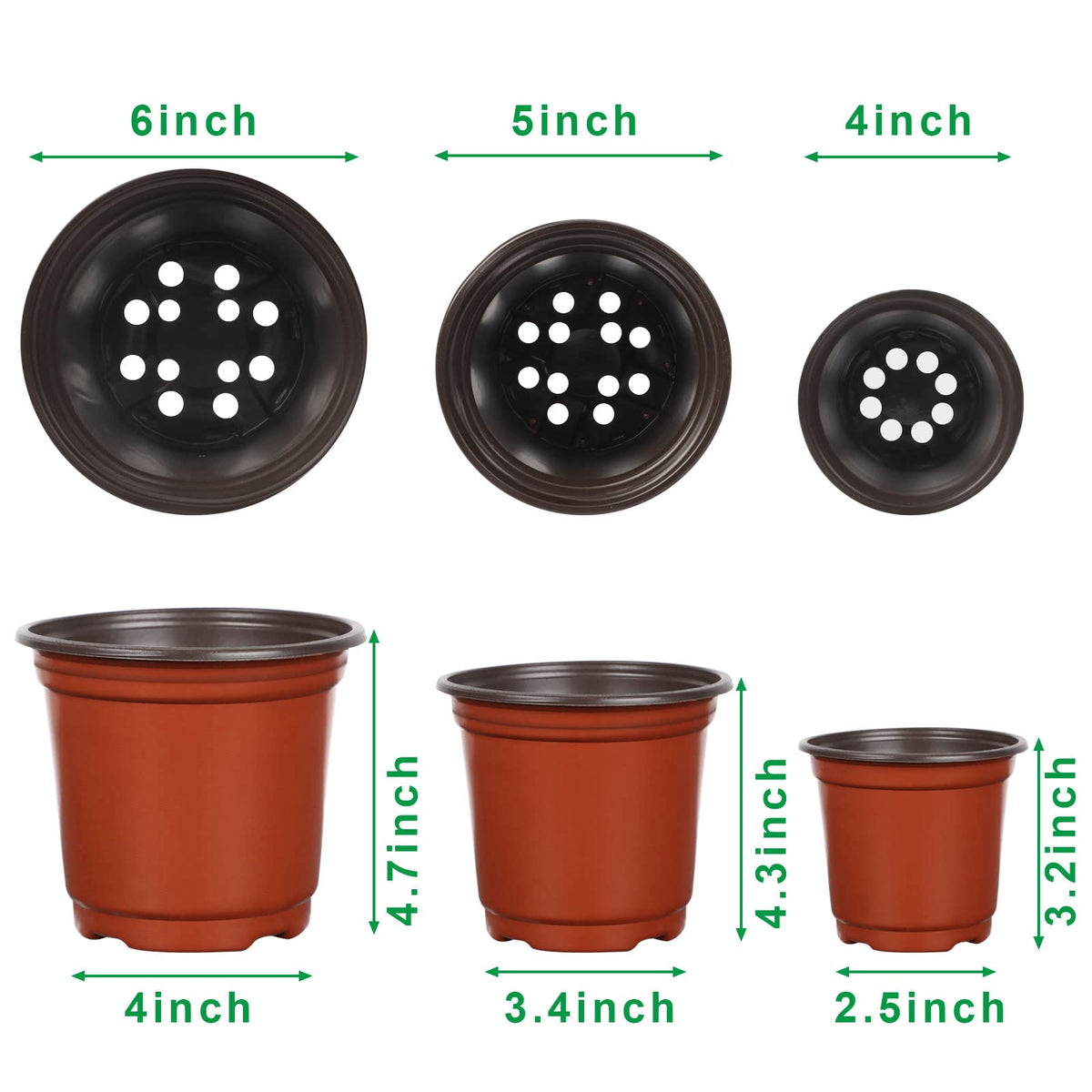 Augshy nursery pot 5-inch top view suitable for transplanting seedlings.