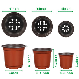 Augshy nursery pot 5-inch top view suitable for transplanting seedlings.
