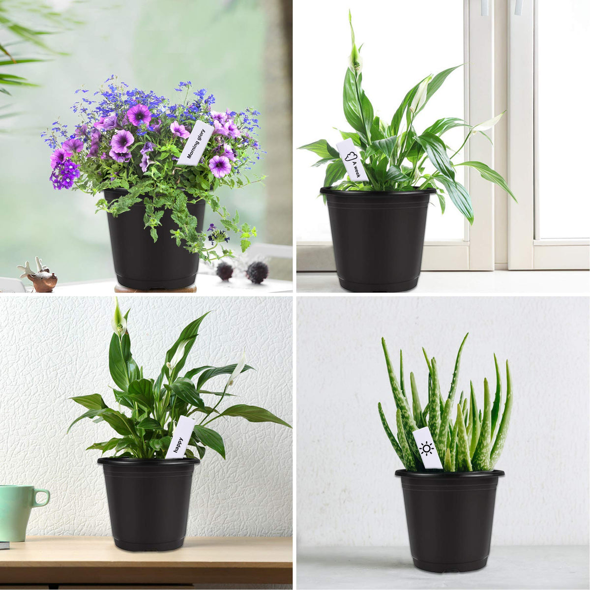 All-in-one Augshy kit with pots and labels for tidy gardening