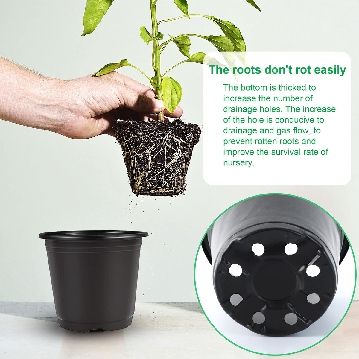 Augshy plant pots for seed starting and cuttings.