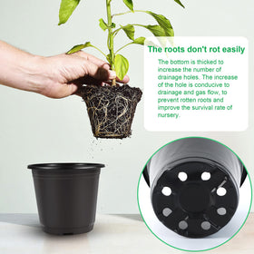 Augshy plant pots for seed starting and cuttings.