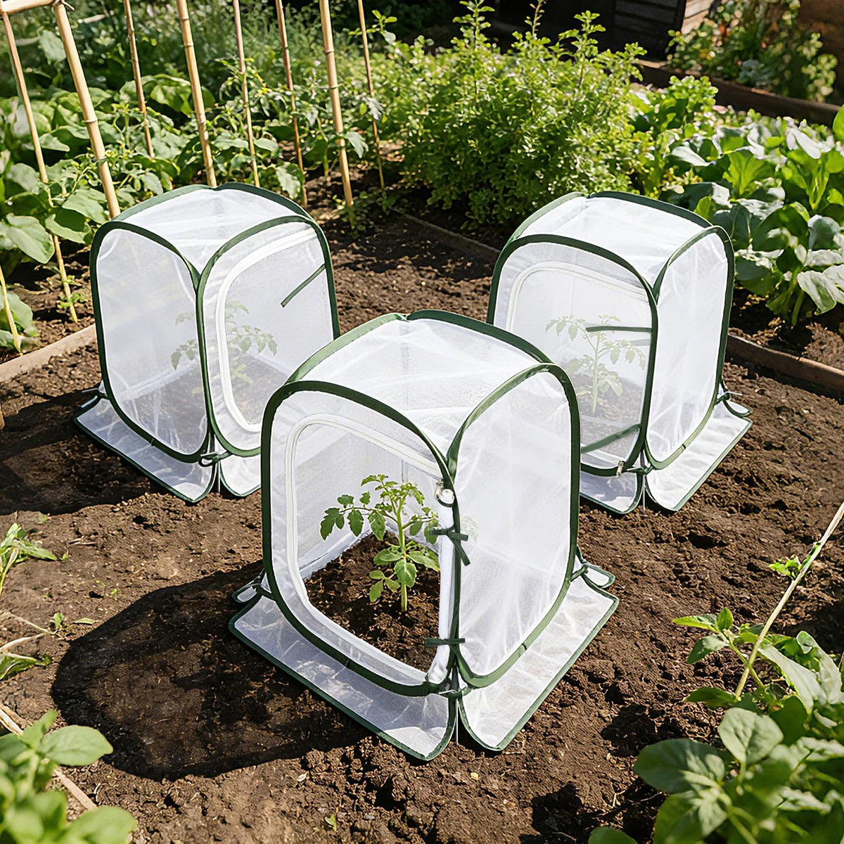 Augshy reinforced polyester mesh and sturdy frame protects outdoors